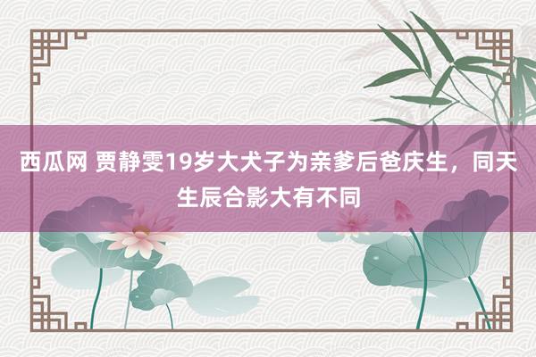 西瓜网 贾静雯19岁大犬子为亲爹后爸庆生，同天生辰合影大有不同