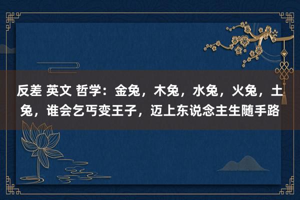 反差 英文 哲学：金兔，木兔，水兔，火兔，土兔，谁会乞丐变王子，迈上东说念主生随手路