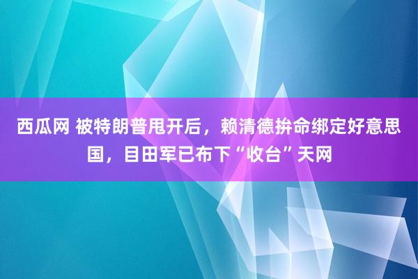 西瓜网 被特朗普甩开后，赖清德拚命绑定好意思国，目田军已布下“收台”天网