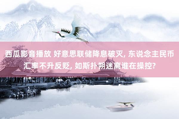 西瓜影音播放 好意思联储降息破灭， 东说念主民币汇率不升反贬， 如斯扑朔迷离谁在操控?