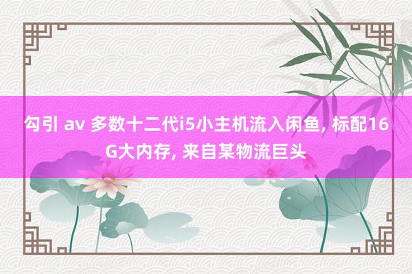 勾引 av 多数十二代i5小主机流入闲鱼， 标配16G大内存， 来自某物流巨头