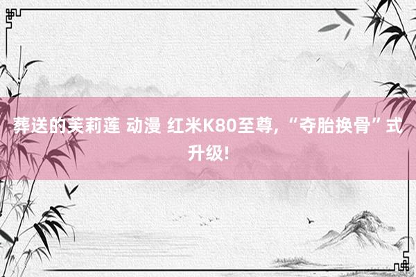 葬送的芙莉莲 动漫 红米K80至尊， “夺胎换骨”式升级!