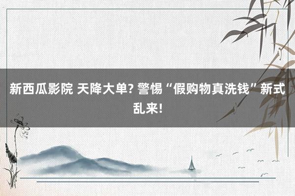 新西瓜影院 天降大单? 警惕“假购物真洗钱”新式乱来!