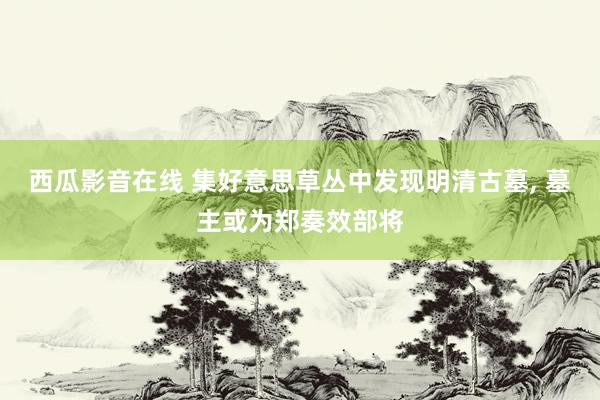 西瓜影音在线 集好意思草丛中发现明清古墓， 墓主或为郑奏效部将