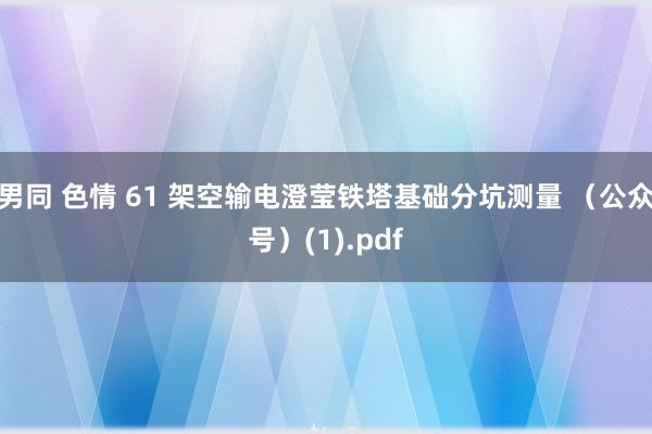 男同 色情 61 架空输电澄莹铁塔基础分坑测量 （公众号）(1).pdf