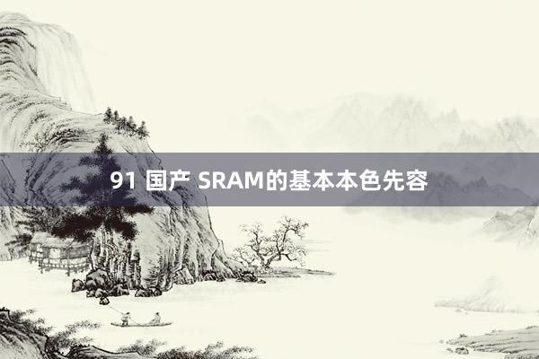 91 国产 SRAM的基本本色先容