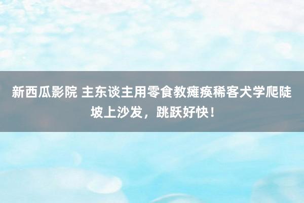 新西瓜影院 主东谈主用零食教瘫痪稀客犬学爬陡坡上沙发，跳跃好快！