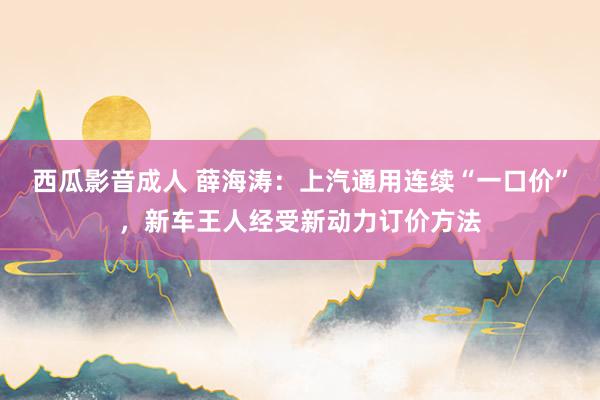 西瓜影音成人 薛海涛：上汽通用连续“一口价”，新车王人经受新动力订价方法