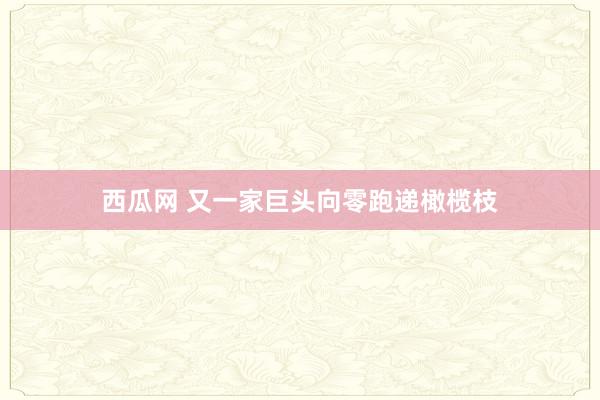 西瓜网 又一家巨头向零跑递橄榄枝
