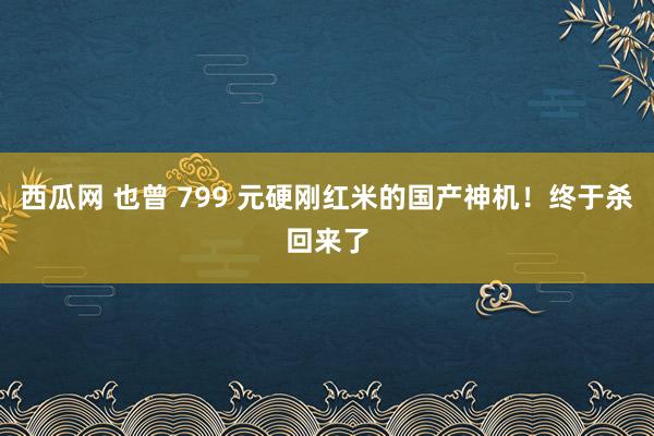 西瓜网 也曾 799 元硬刚红米的国产神机！终于杀回来了